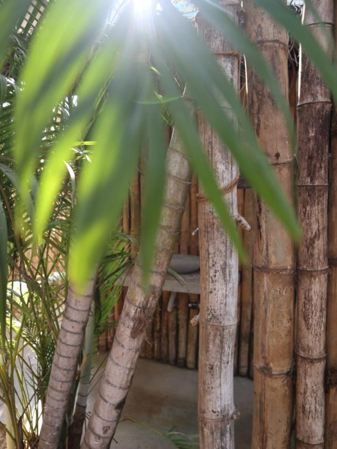 Steffi'S Mandala Hotel Hikkaduwa Eksteriør billede